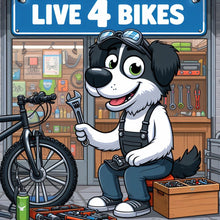 Load image into Gallery viewer, how to maintain your bmx bike