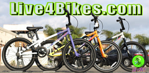 GT Friendship BMX 20" inch  Bike kids bike  -Live4Bikes