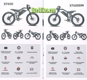 Taiqui XT-600 Fat Tire Electric Dirt Bike Mountain bicycle 750w 48v - Live4Bikes