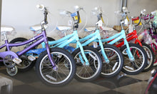 Load image into Gallery viewer, Fuji Rookie 16in Kids bike | Multi Colors
