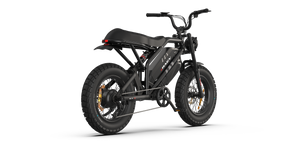 Raev Bullet GTX Electric Bike 750w 52v Dual Battery