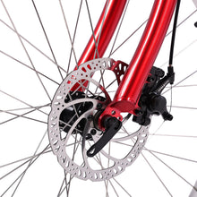Load image into Gallery viewer, Micargi Raiatea 500W Tandem Electric Bicycle