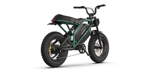 Raev Bullet GTX Electric Bike 750w 52v Dual Battery