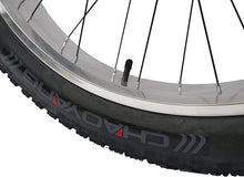 Load image into Gallery viewer, Micargi Slugo A Male 26" Beach Cruiser Bike with 1-Speed Disc Brakes and FAT Tires