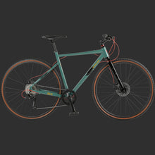 Load image into Gallery viewer, Retrospec Grateful Dead Amok 8-speed gravel bike in green