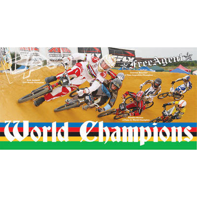 Free Agent World Champ Banner Wrld Champions Banner 2X4' World Champions Banner Free Agent Merchandis