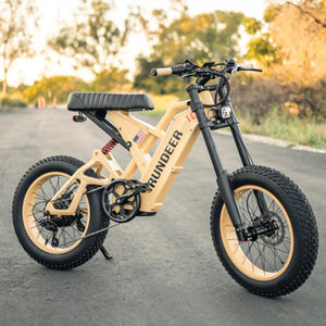 Rundeer Attack 10 off Road ebike electric bicycle 750w 48v