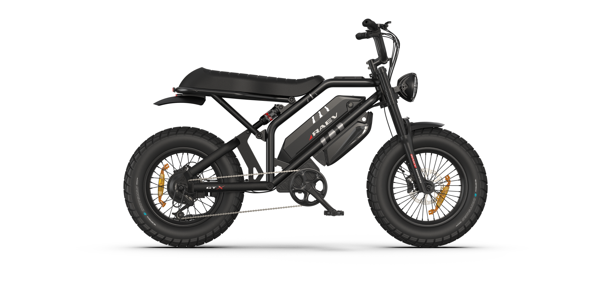 Raev Bullet GTX Electric Bike 750w 52v Dual Battery