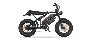 Raev Bullet GTX Electric Bike 750w 52v Dual Battery