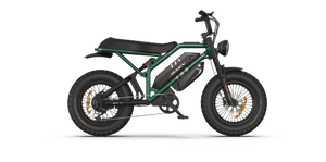 Raev Bullet GTX Electric Bike 750w 52v Dual Battery