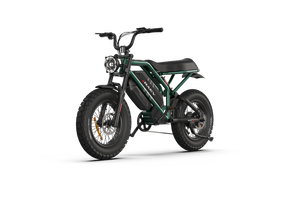 Raev Bullet GTX Electric Bike 750w 52v Dual Battery