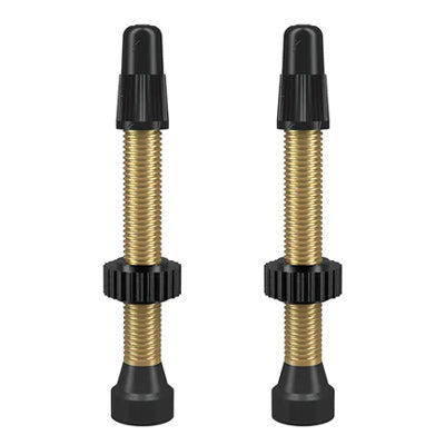 Wtb Tcs Presta Valve 46Mm,Bras Pair, Brass Tcs Valves Wtb Tubetireca