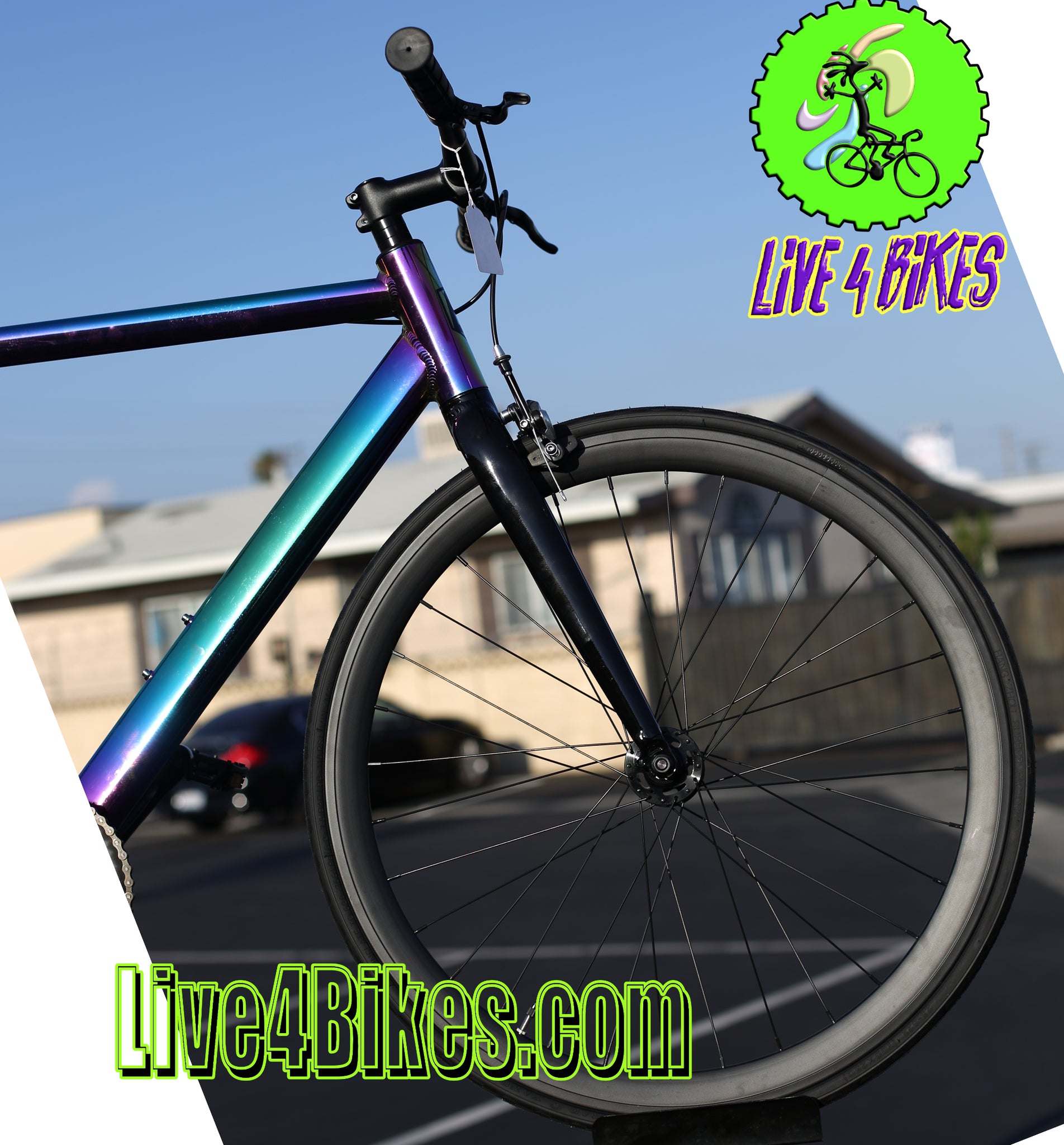 Golden cycles discount oil slick fixie