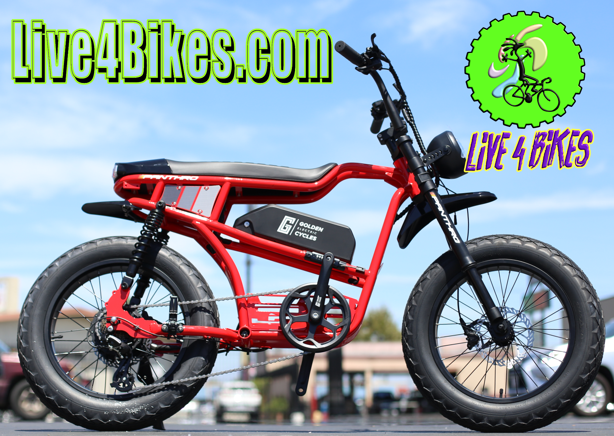 golden motor electric bicycle Golden Cycle Panthro motor Style Ebike