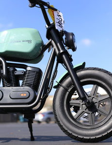 Hyper Gogo S9 Small 14in Ebike | 500w 15.5 MPH