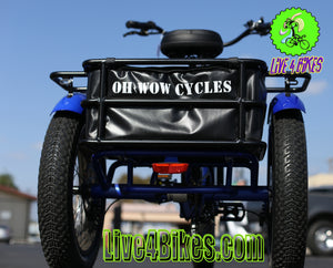 Oh Wow Conductor Electric Trike Tricycle three wheeler Ebike 750w 48v - Live 4 Bikes
