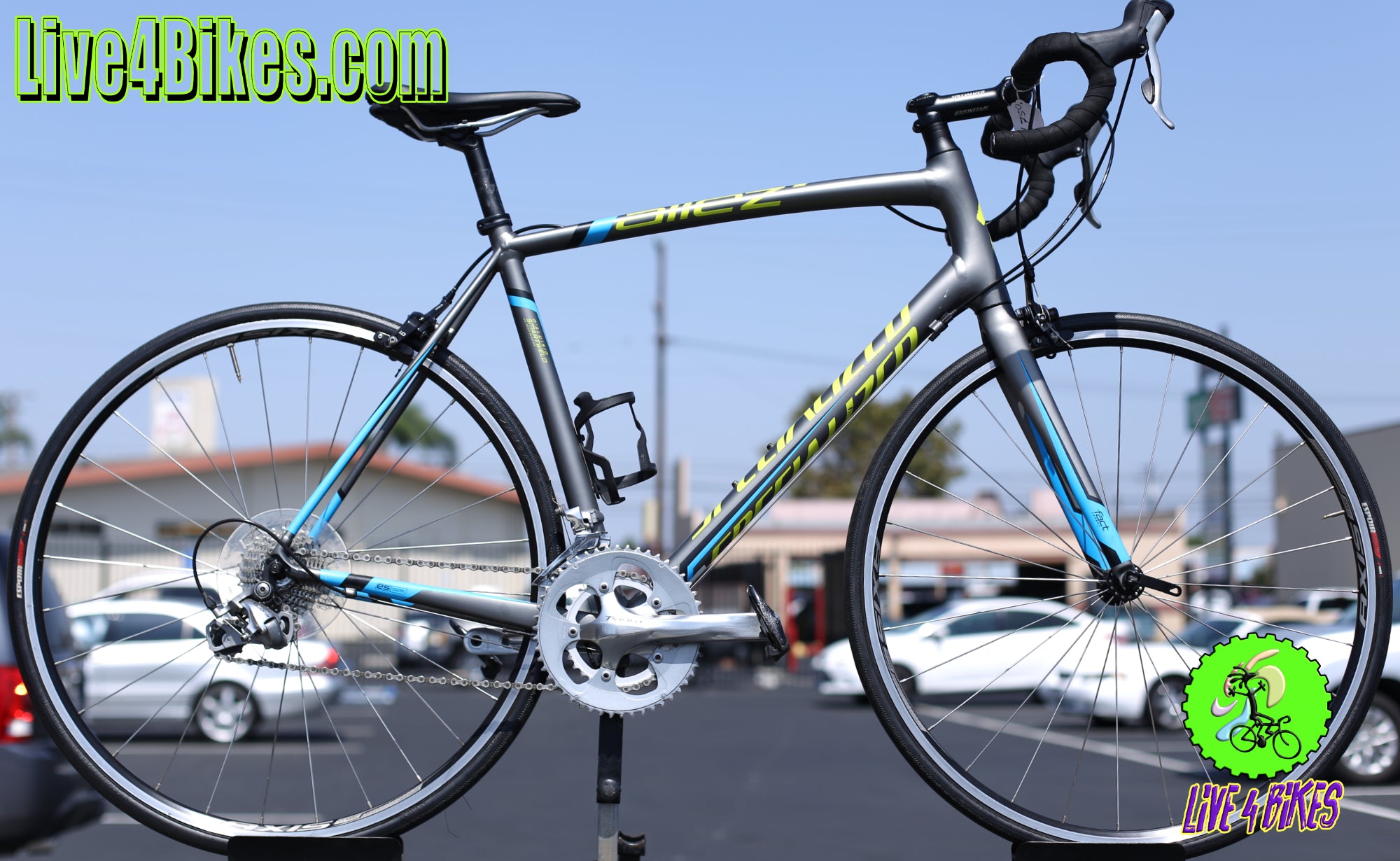 Specialized Allez Elite Claris Gray road bike 58 cm Preowned - Live 4 Bikes