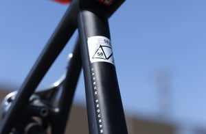 Specialized Roubaix Carbon fiber Road bike 58 cm Preowned Tiagra - Live 4 Bikes