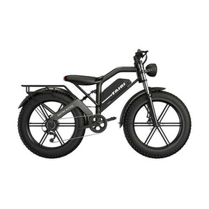 Taiqui XT-600 Fat Tire Electric Dirt Bike Mountain bicycle 750w 48v - Live4Bikes