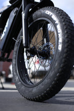 Load image into Gallery viewer, 20In Electric 750 watt 48v BLK |