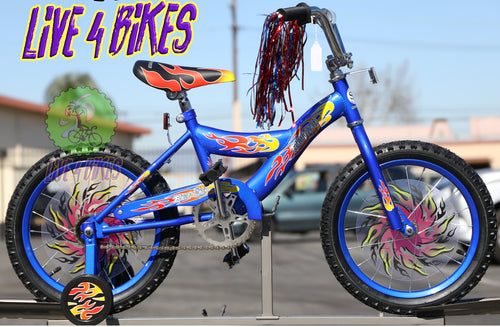 Kids Boys 20in bike | Blue