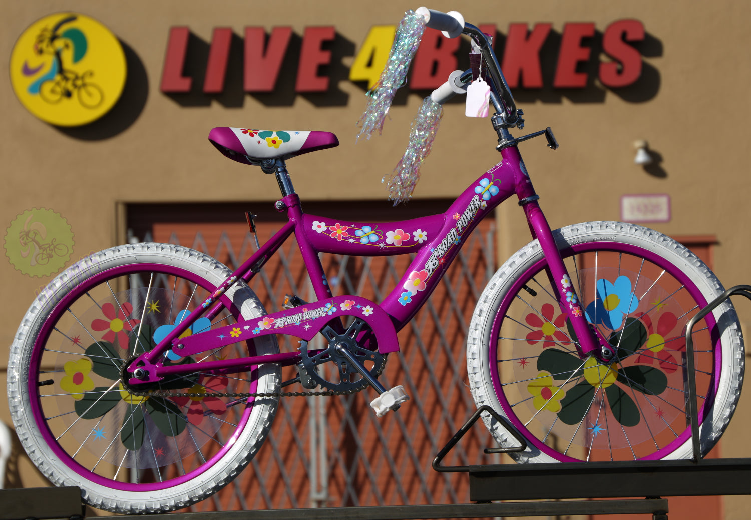 Kids Girls 20 in Bike | Multi Colors Purple